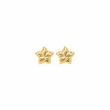 EULALA GOLD EARRINGS