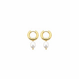 ELLIX GOLD EARRINGS