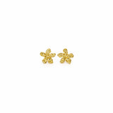 EICHI GOLD EARRINGS
