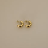 elidi earrings, gold bold double hoop earrings adorned with delicate, sparkling Cubic Zirconia stones sprinkled throughout