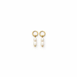 ELISSANT GOLD EARRINGS