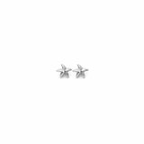 ESTAREE SILVER EARRINGS