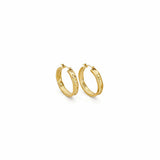 ESTERA GOLD EARRINGS