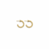 EZRA GOLD EARRINGS