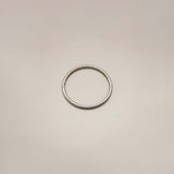 BINNI SILVER ROUND