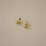 verrmae, estaree gold earrings, mini star shaped studs, 18k gold plated jewellery, 18k gold plated earrings, 18k gold plated stainless steel, 18k gold plated, waterproof jewellery, vintage inspired jewellery, vintage inspired earrings, jewellery melbourne, jewellery, statement jewellery, everyday jewellery, gold jewellery, gold earrings, gold plated earrings, gold plated jewellery, jewellery australia